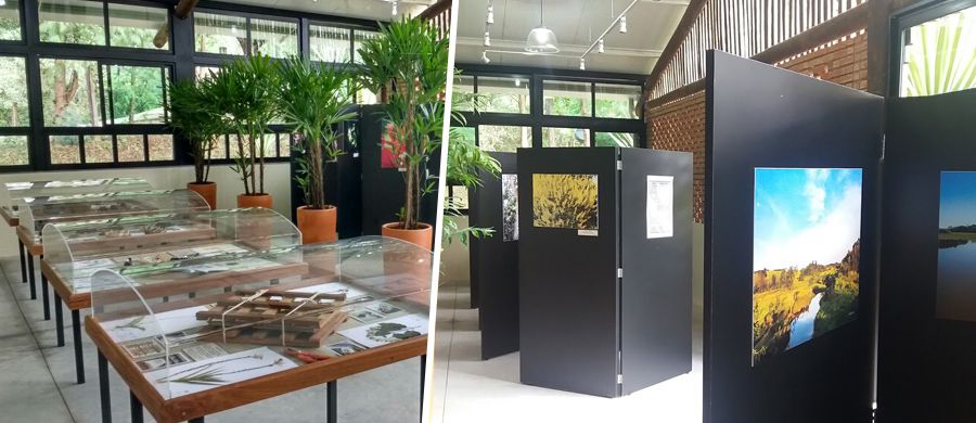As exposições pretendem sensibilizar os visitantes para preservação do meio ambiente
