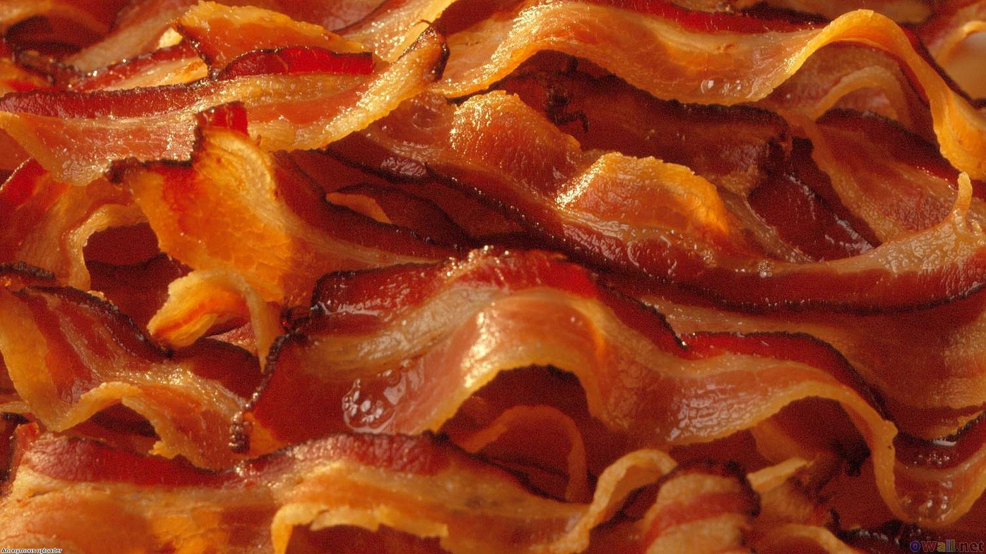 bacon-topo