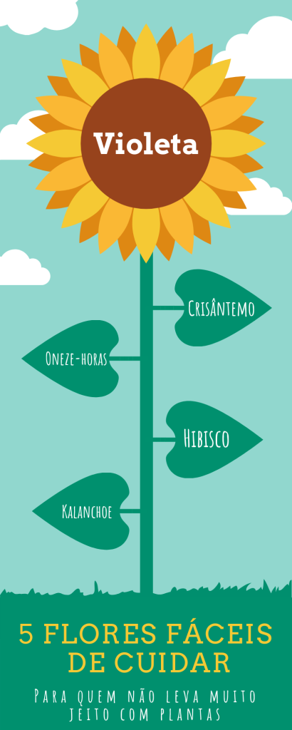 flores plantas bauru dicas