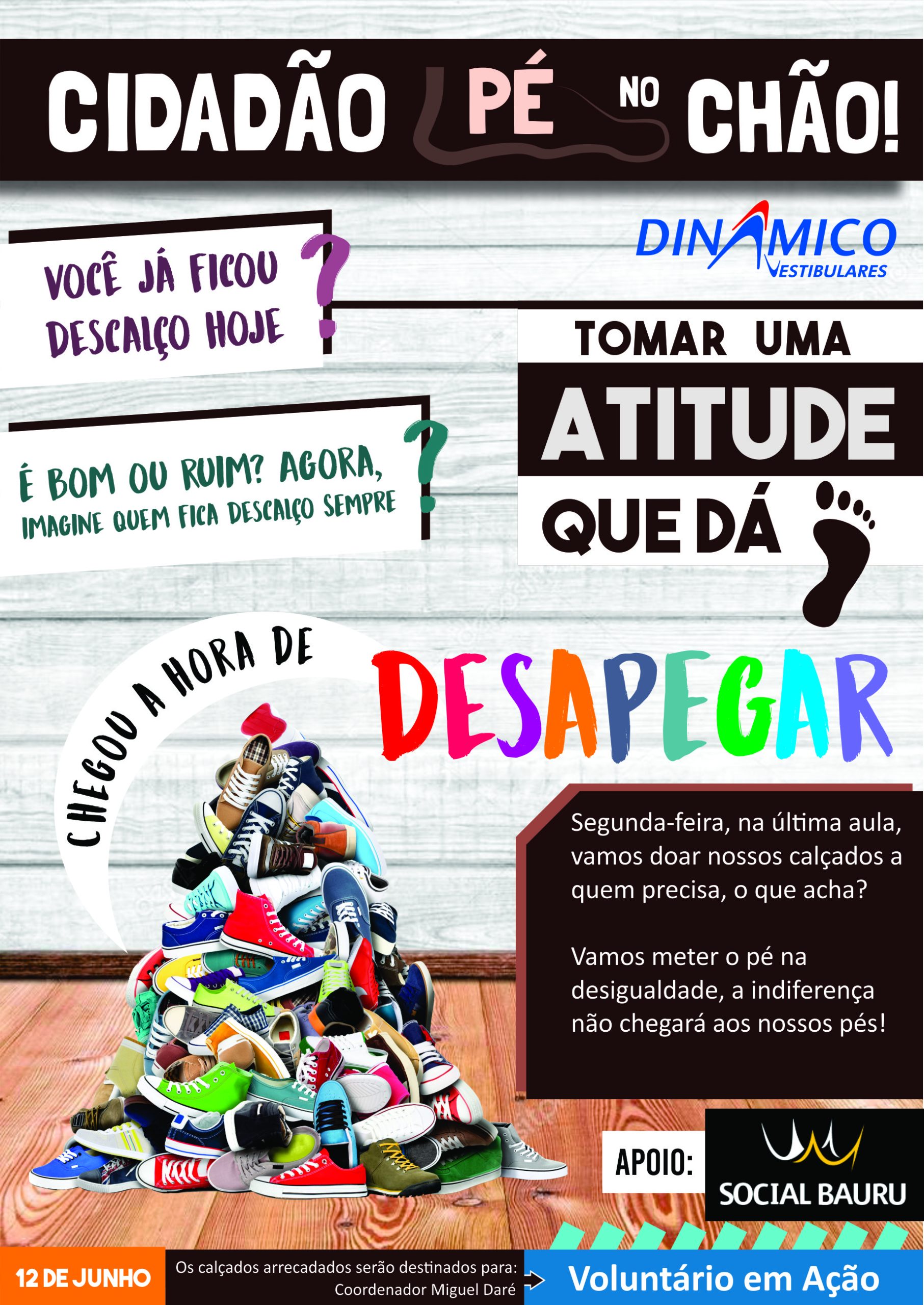 Dinamico_Cidadão Pé no Chão 1Sem2017 (3)