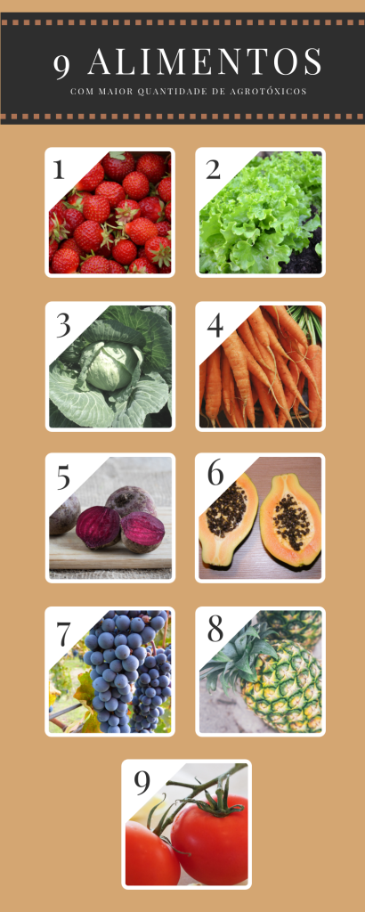 alimentos orgânicos