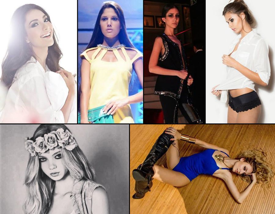 SBFS2014modelos