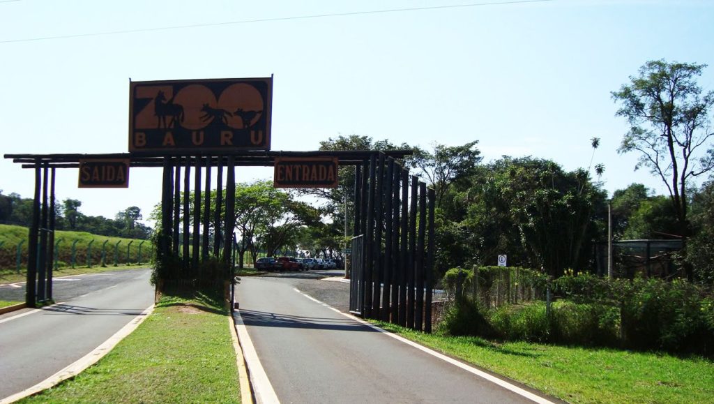 zoologico de bauru
