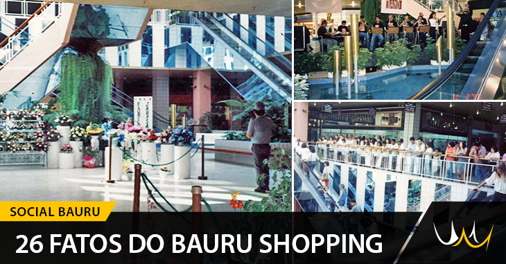 baurushopping-link
