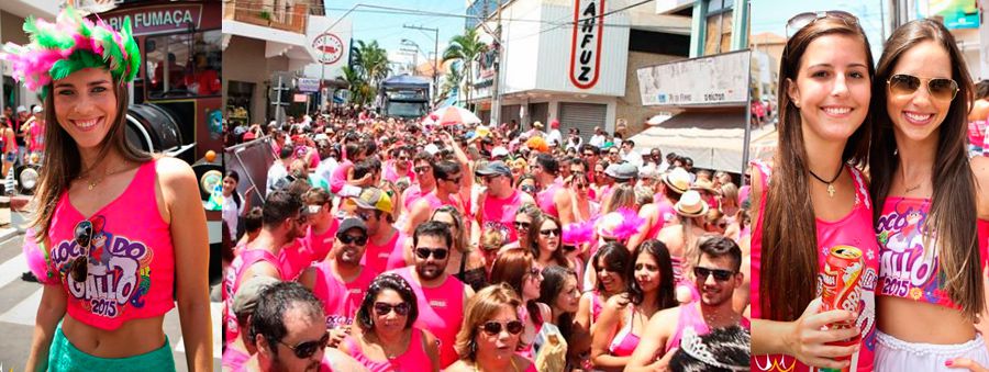 blocogallo2016-topo