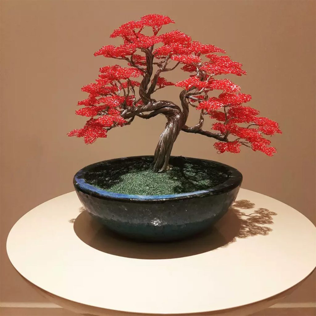 Bonsai