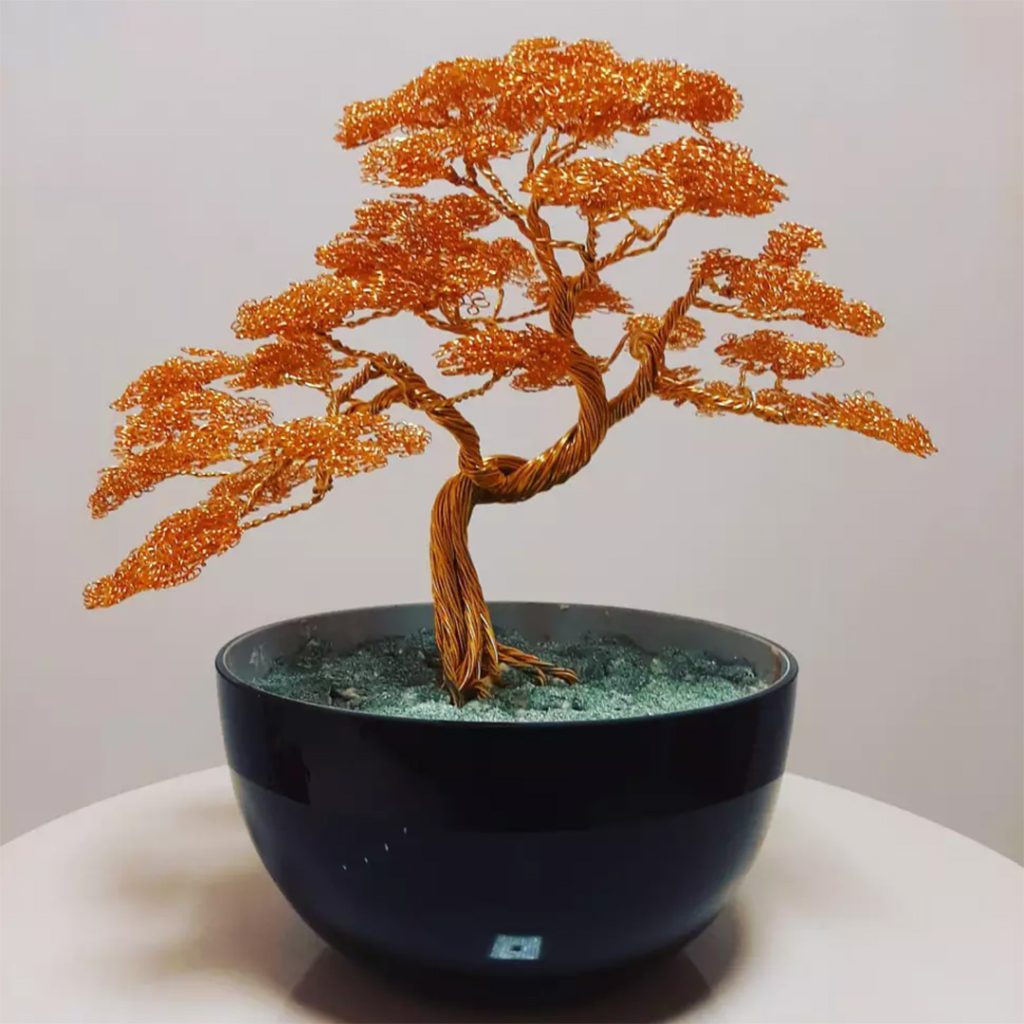 Bonsai