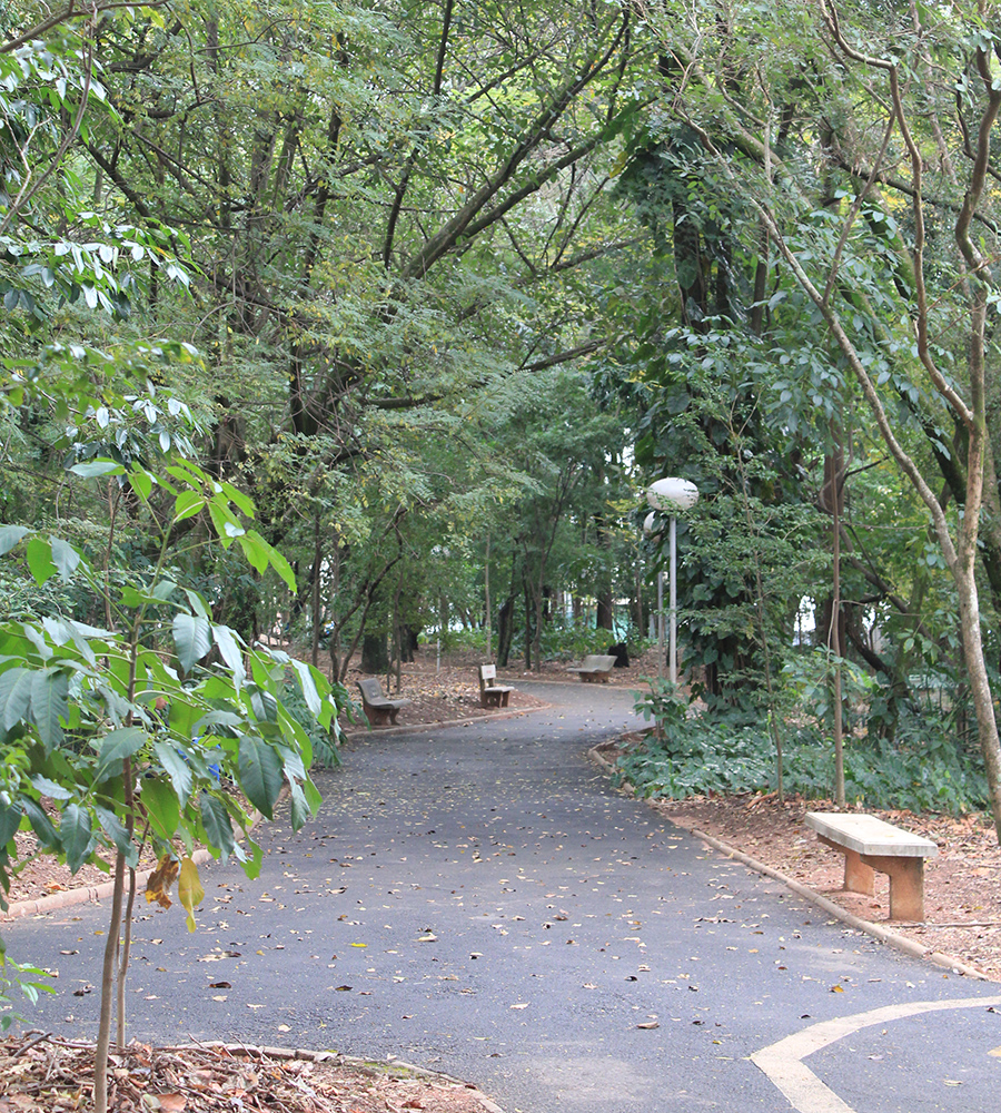 Bosque da Comunidade em Bauru