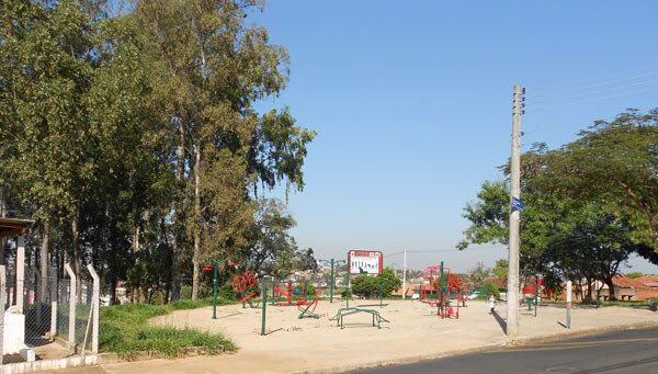 bosque_miguel_moises_inete