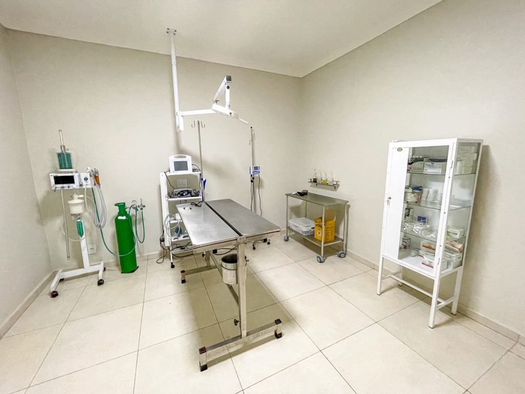 Cirurgia veterinária