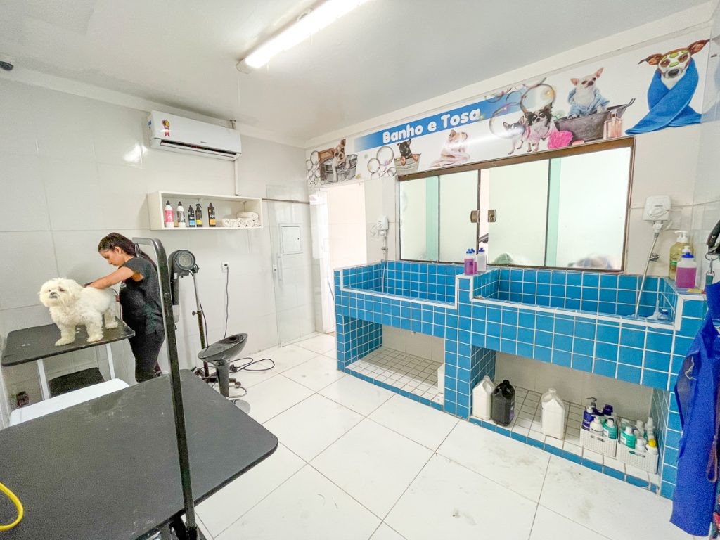 Banho e tosa na veterinária