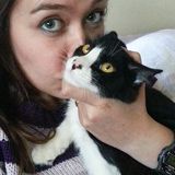 gato-vivian1