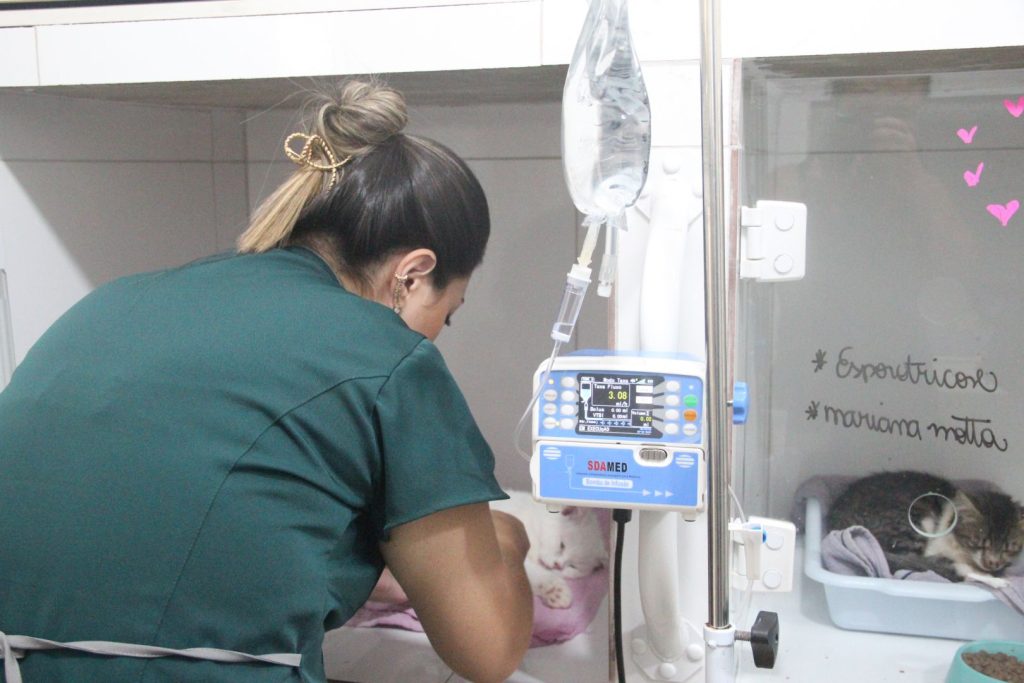 Veterinária