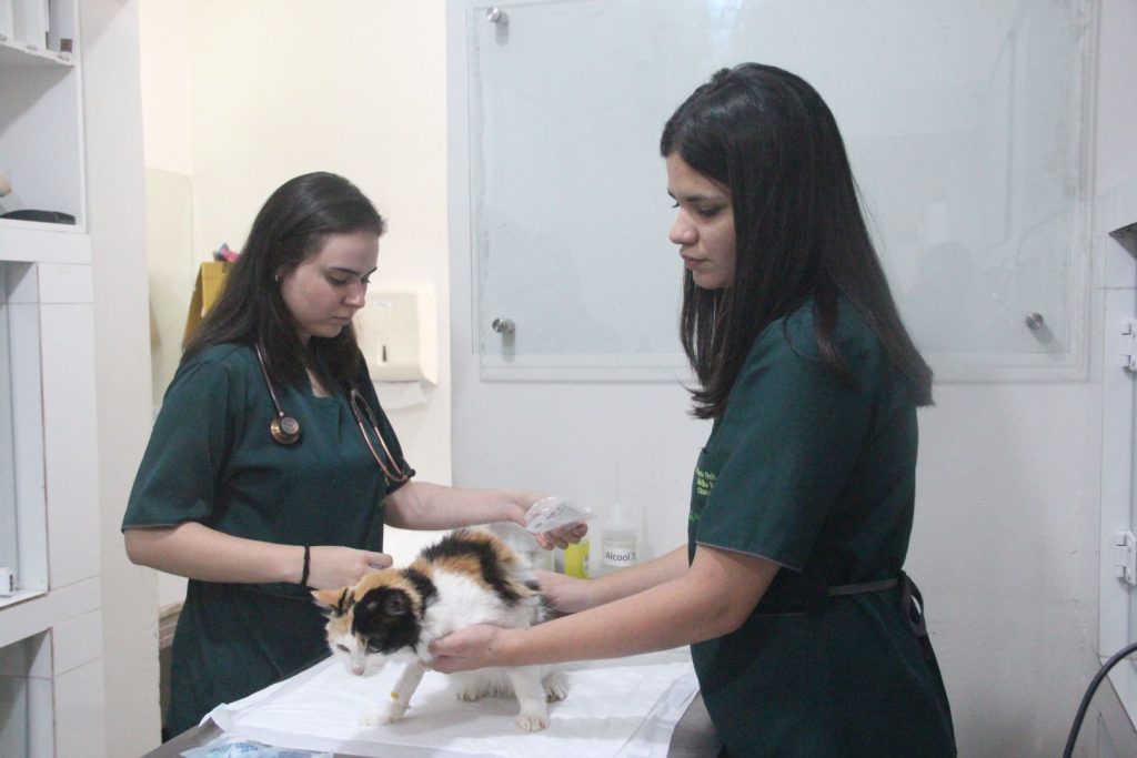 Veterinária