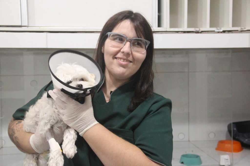 Veterinária
