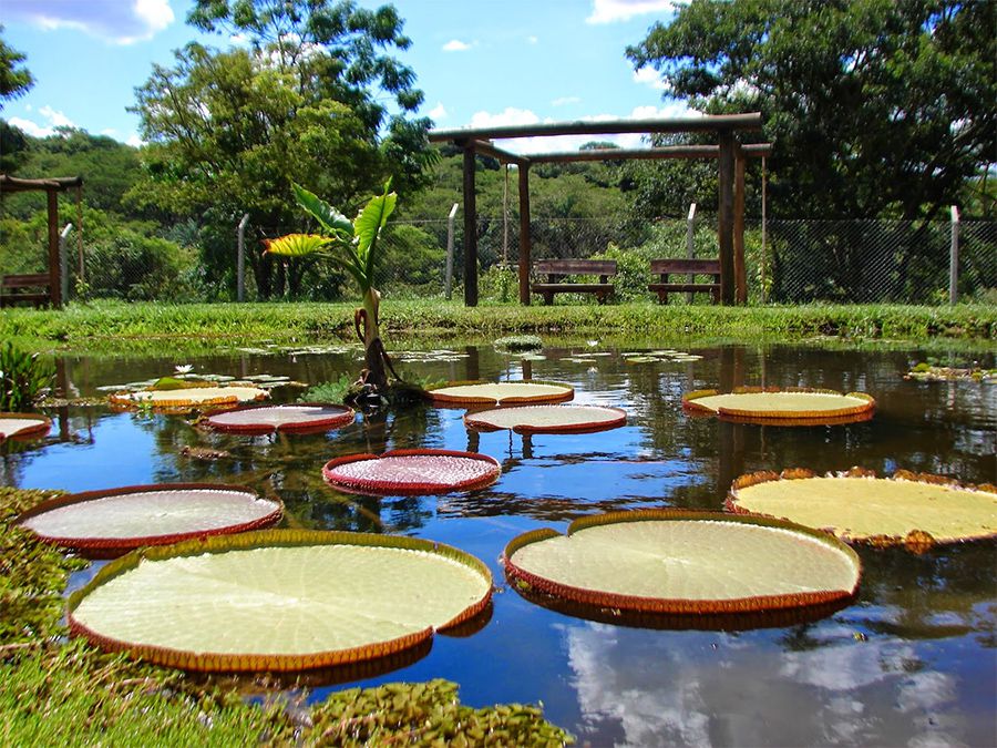 jardim-botanico-premio-1