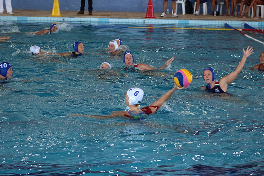 polo aquatico topo