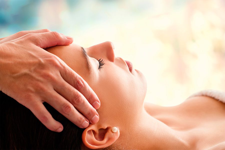 reiki-bosque-topo