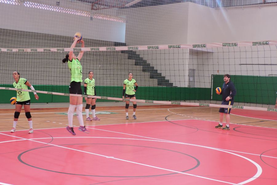 volei bauru