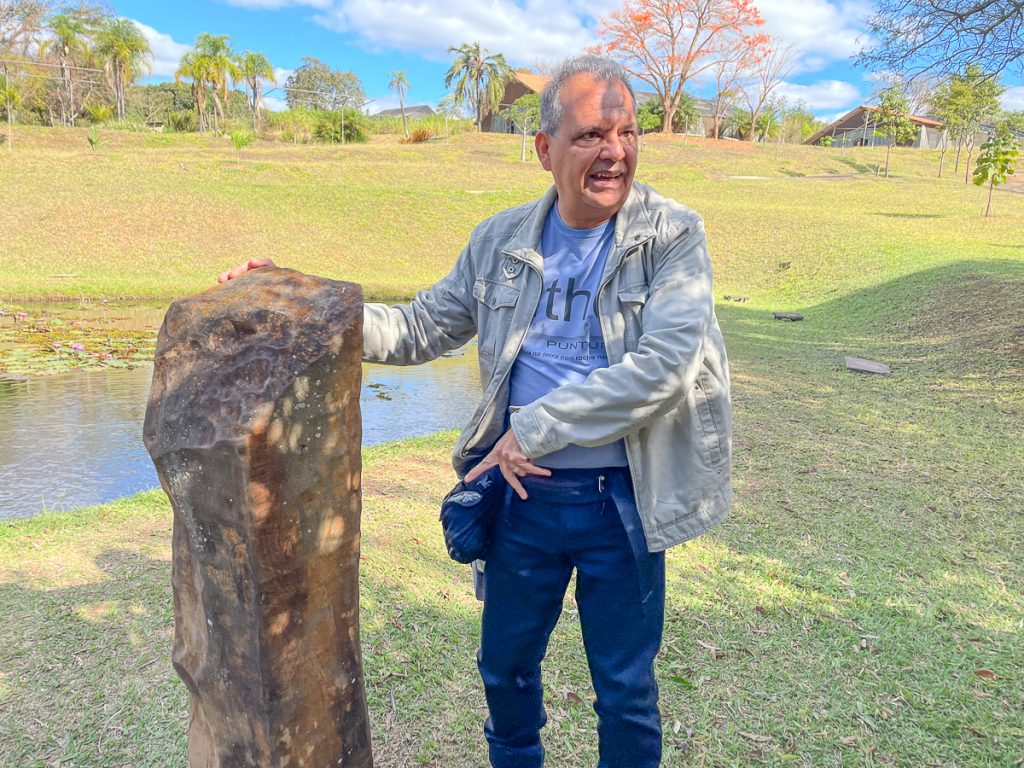 Especialista em lithopuntura